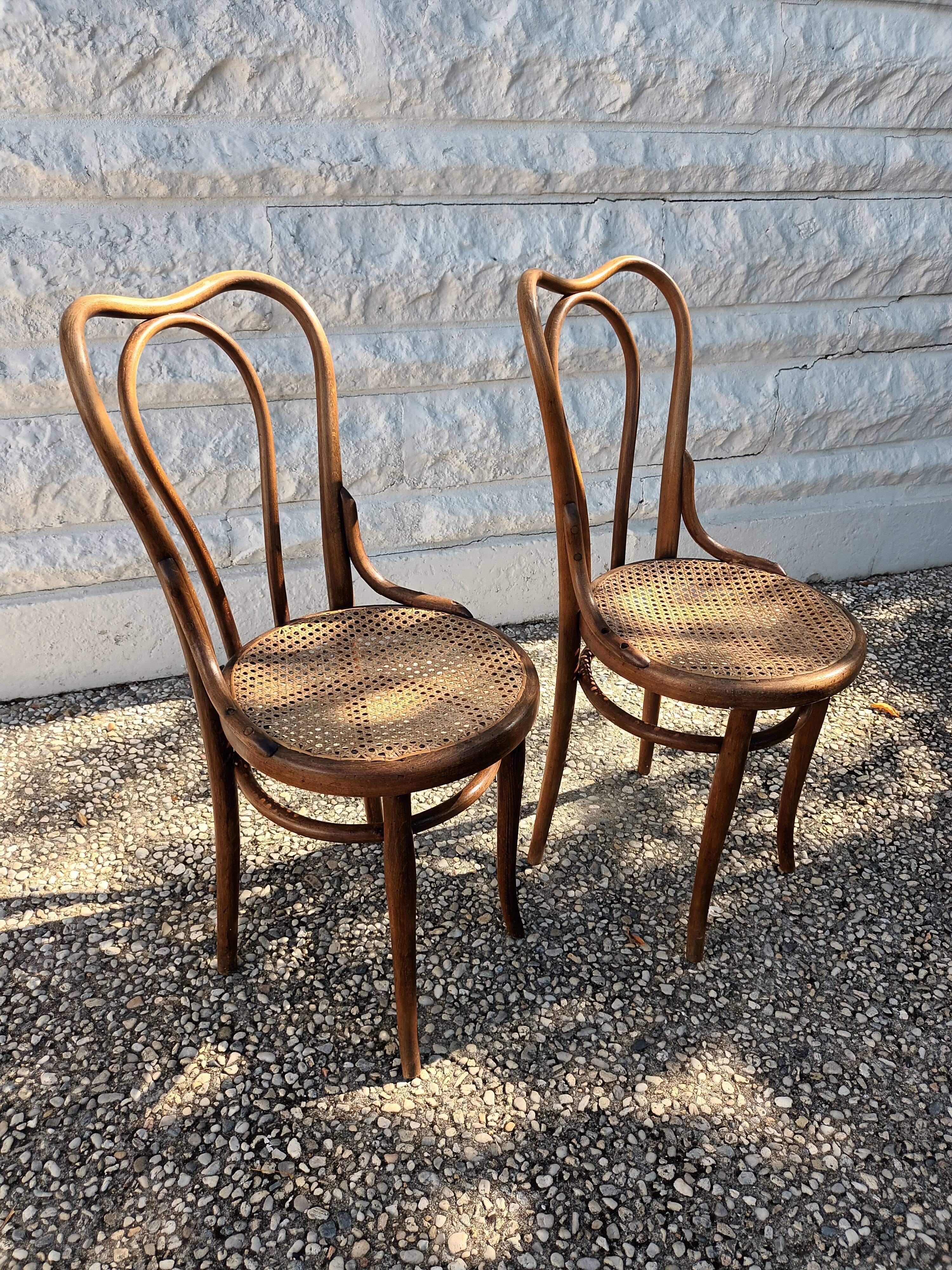 Chairs Thonet