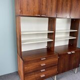 Custom wall unit by Cees Braakman for Pastoe