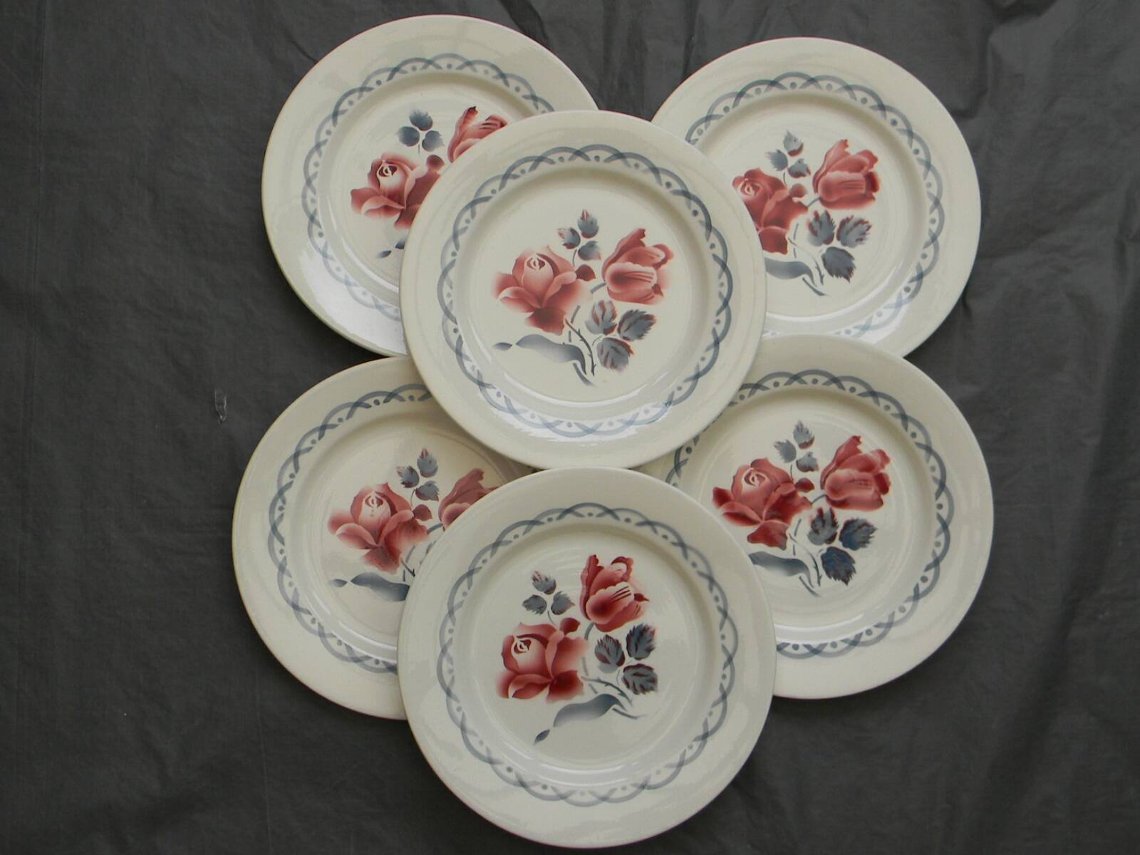 Set of 6 DIGOIN SARREGUEMINES earthenware dinner plates. CANNES model.