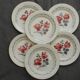 Set of 6 DIGOIN SARREGUEMINES earthenware dinner plates. CANNES model.