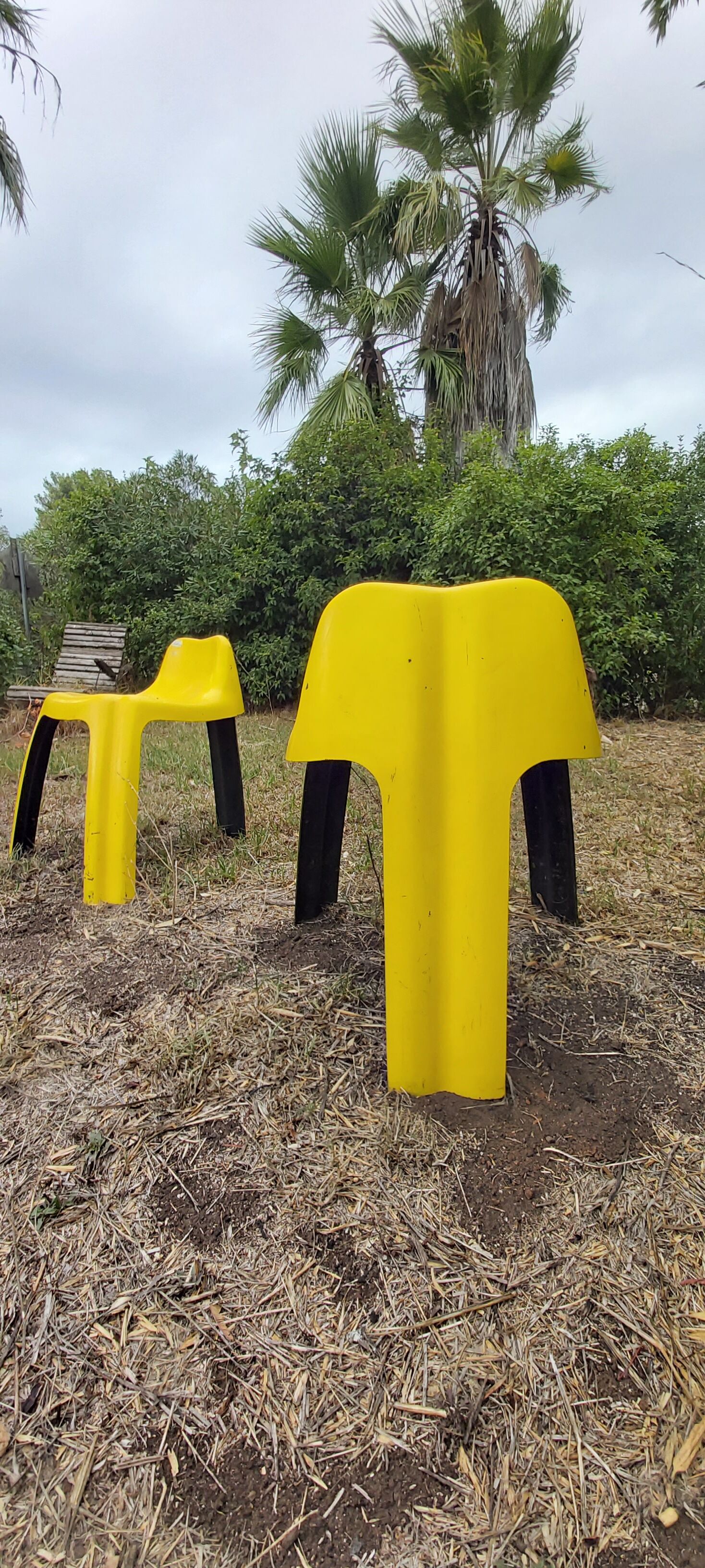 2 chairs ginger 1970