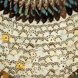 collage in XXL butterfly wings