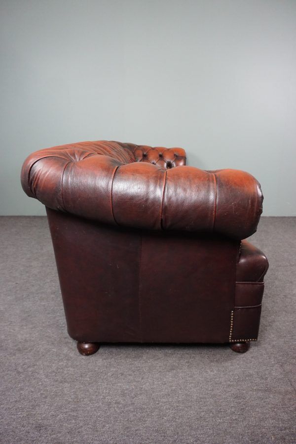 Chesterfield sofa in resistant cowhide, 3 seats
