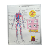 Rossignol school poster N°5 The heart N°6 Vintage traffic
