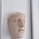 Wall sculpture of the face of the Venus de Milo in plaster.