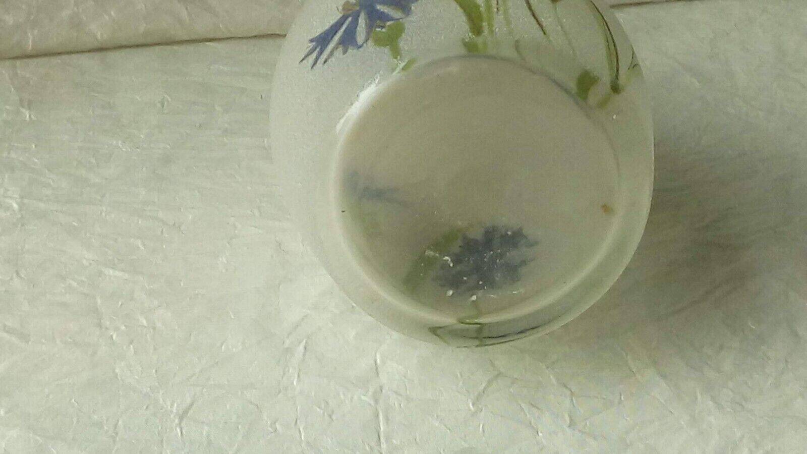 Lightly enameled granite glass carafe late 19th century