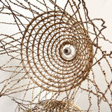 Date palm suspension