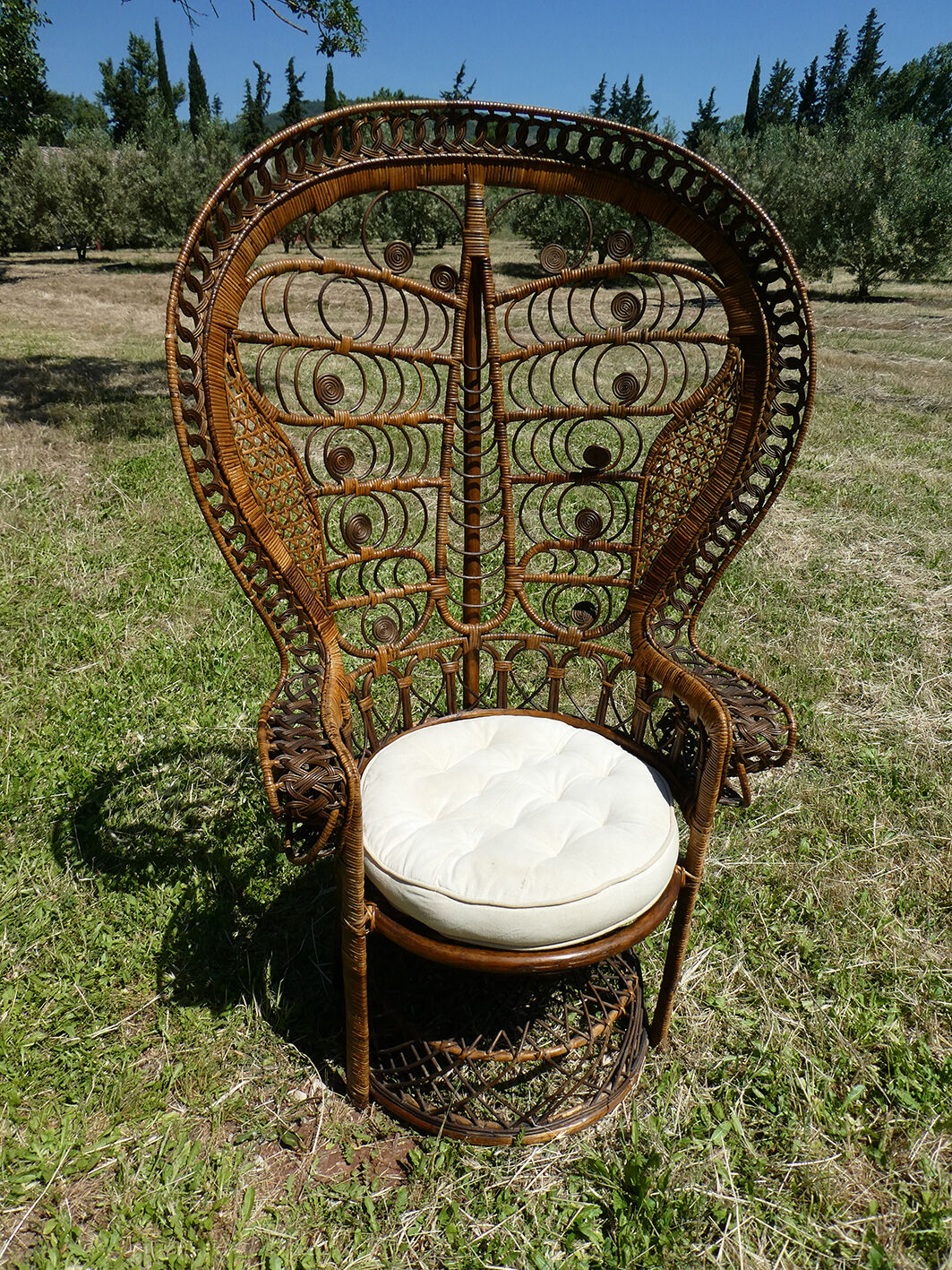 Emmanuelle peacock rattan chair