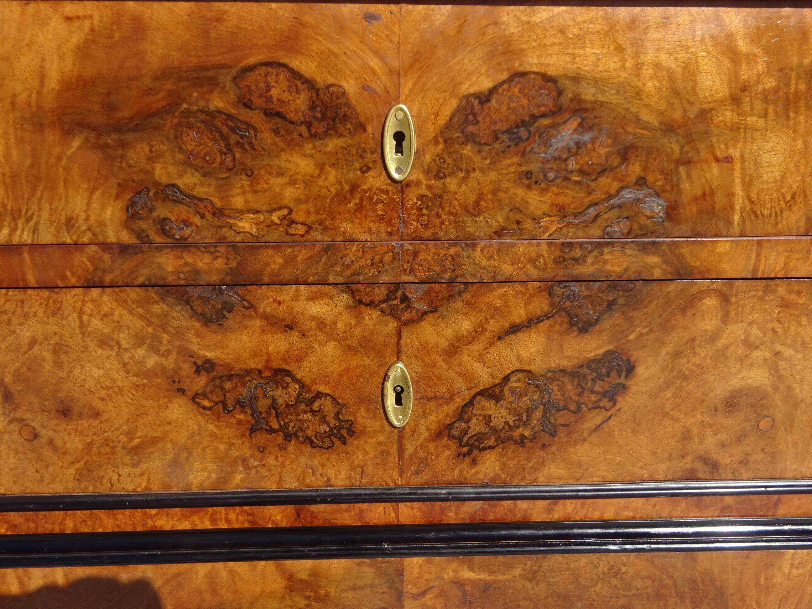 Napoleon III chest of drawers in walnut and burl walnut