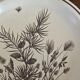 8 flat plates WH Grindley "Pinewood"