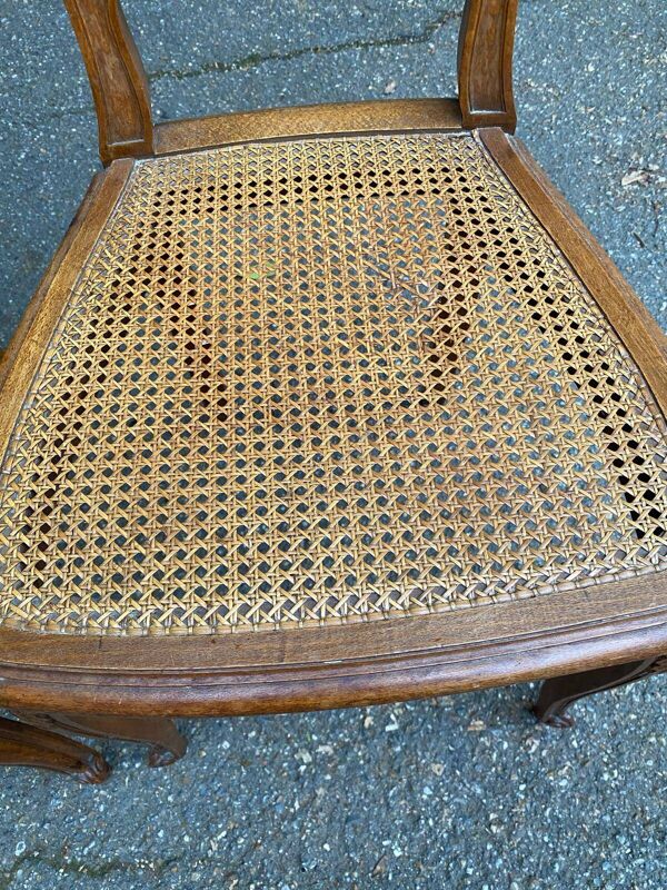 2 chaises médaillon style Louis XV en bois massif et cannage