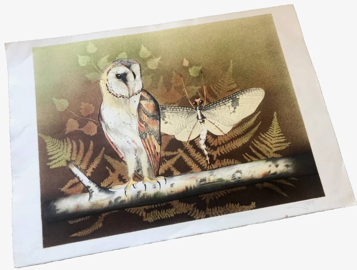 Lithograph (large format) Owl Jobin Paris Grapholith