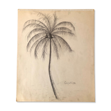 Drawing "Coconut tree"