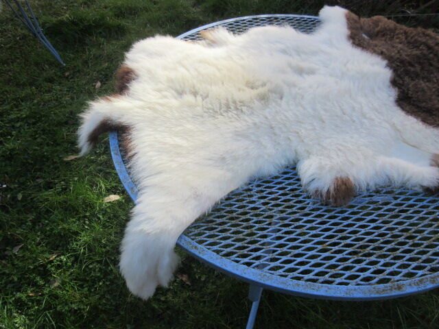 Sheepskin