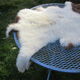 Sheepskin