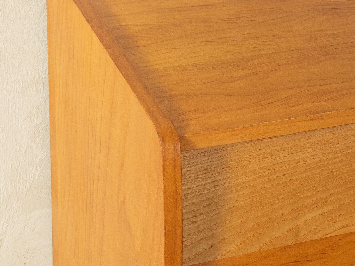 1950s Mid-Century Shoe Cabinet