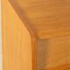 1950s Mid-Century Shoe Cabinet