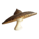 hat asia d:63cm chinese vietnam asian old