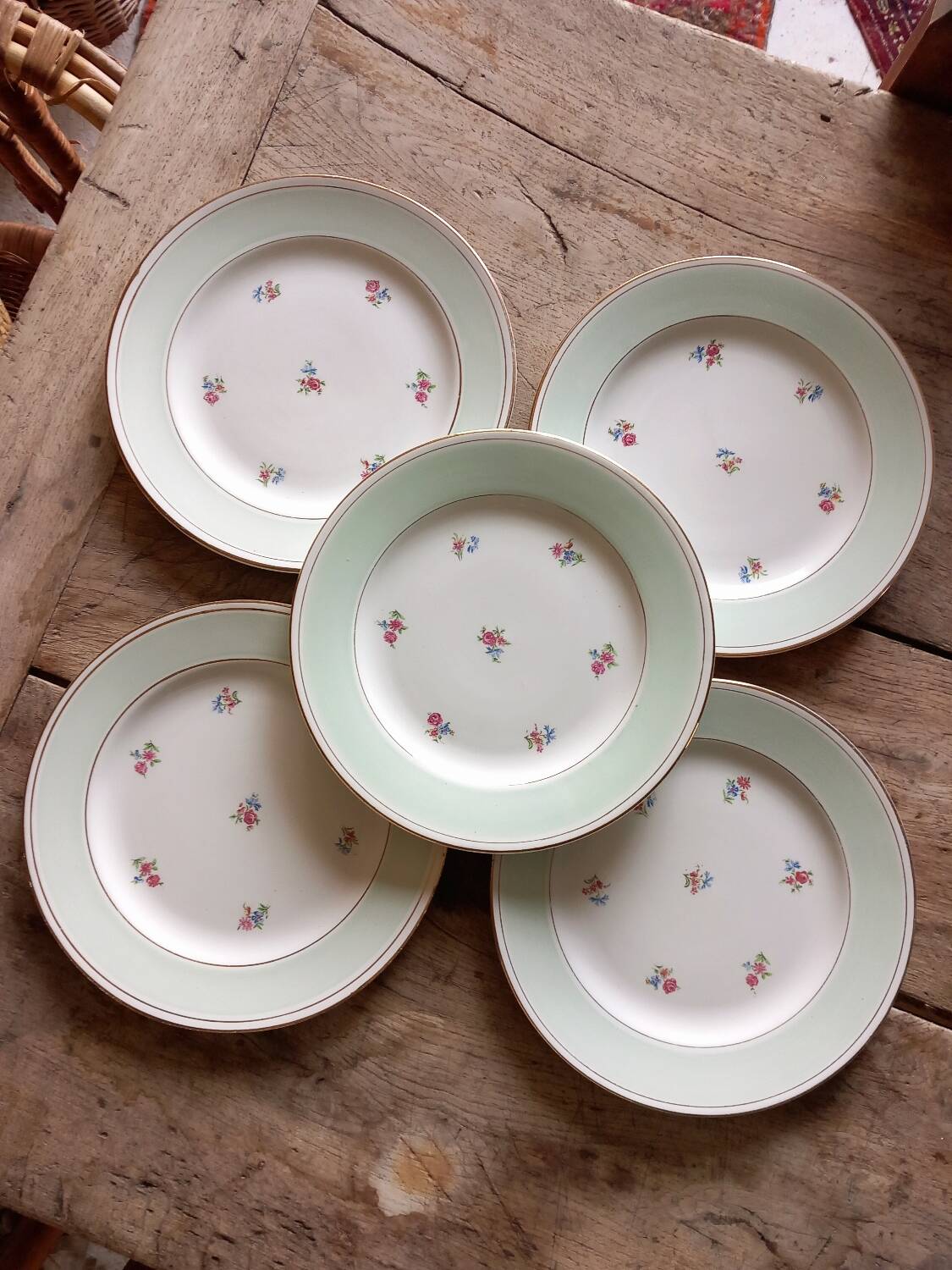 Porcelain SA dinner plates