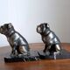 Delivered bulldogs from "Franjou"