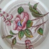 Vintage English Crown Ducal plate - floral decoration
