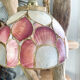 Mother-of-pearl and vintage brass pendant lamp