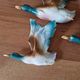 Série de 3 canards en vol en faience allemande - marque au dos