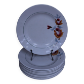 Set of 10 St Amand 7017 flat plates