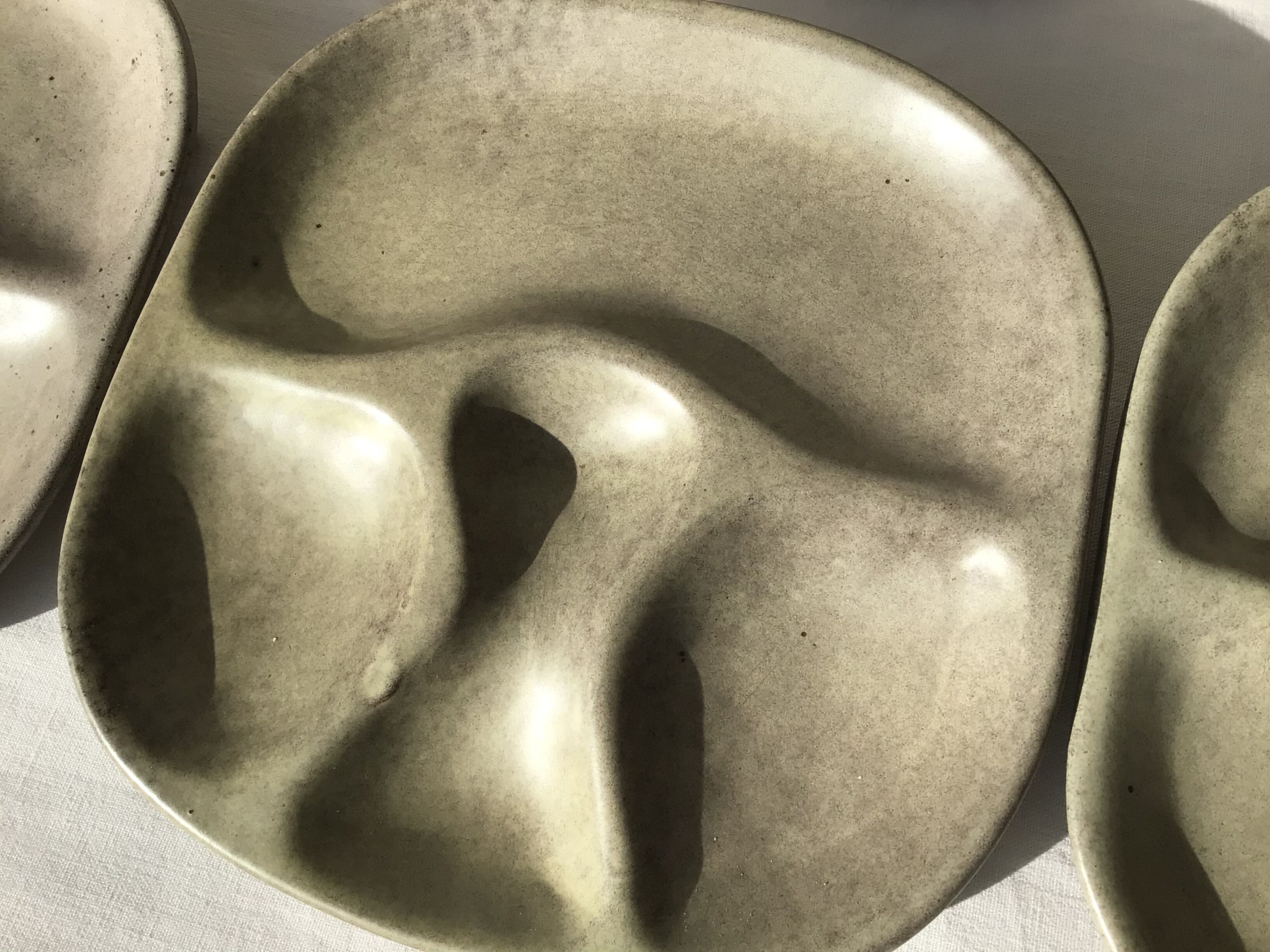 6 green beige compartmentalized plates