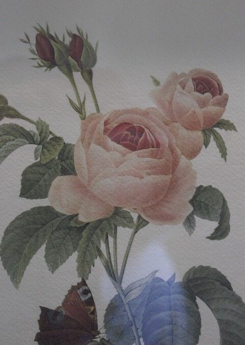 Botanical board framed PJ Dreaded