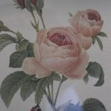 Botanical board framed PJ Dreaded