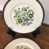 Lot 2 assiettes Pagnossin