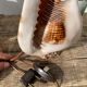Shell lamp 1970 vintage mother-of-pearl to pose or bedside