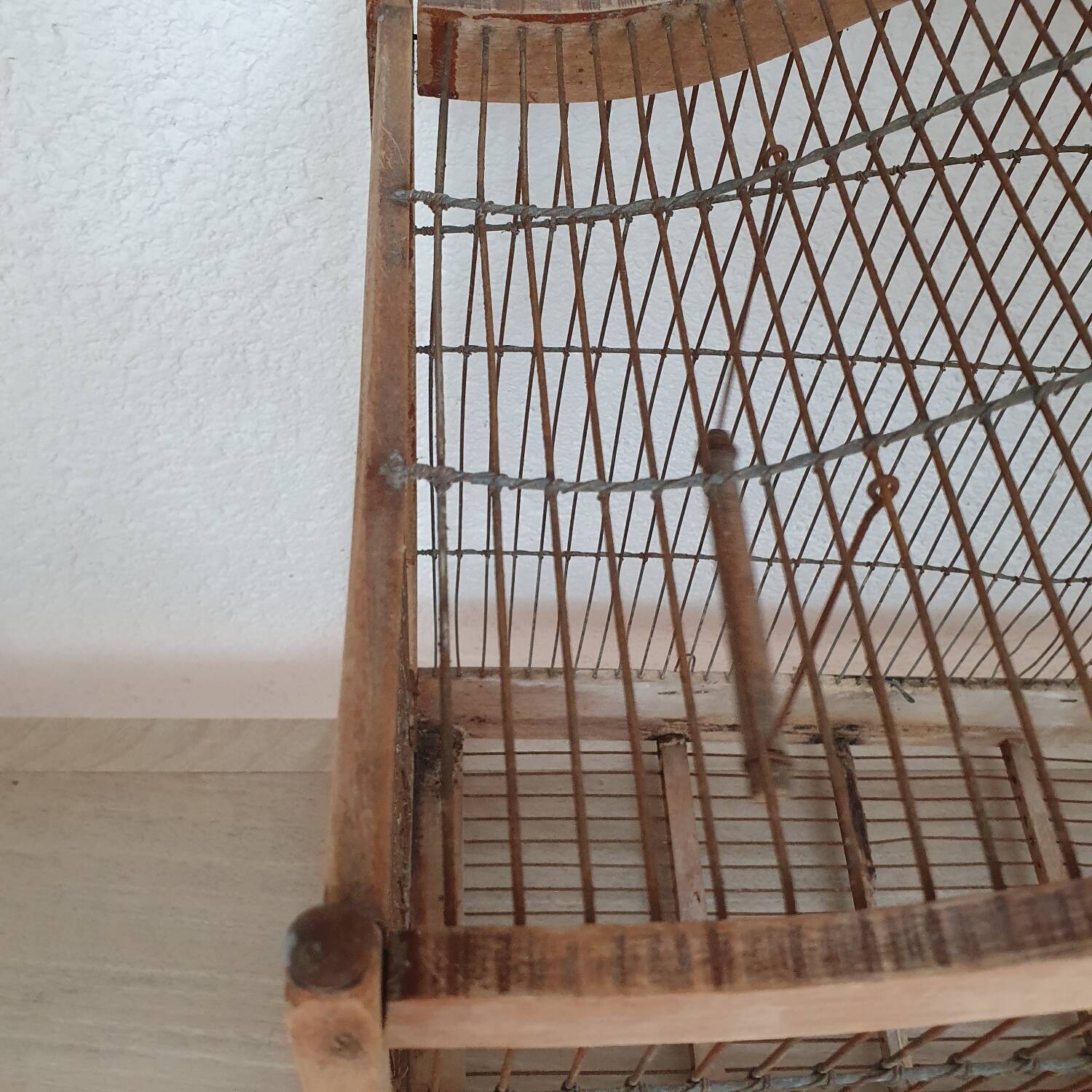 Bird cage