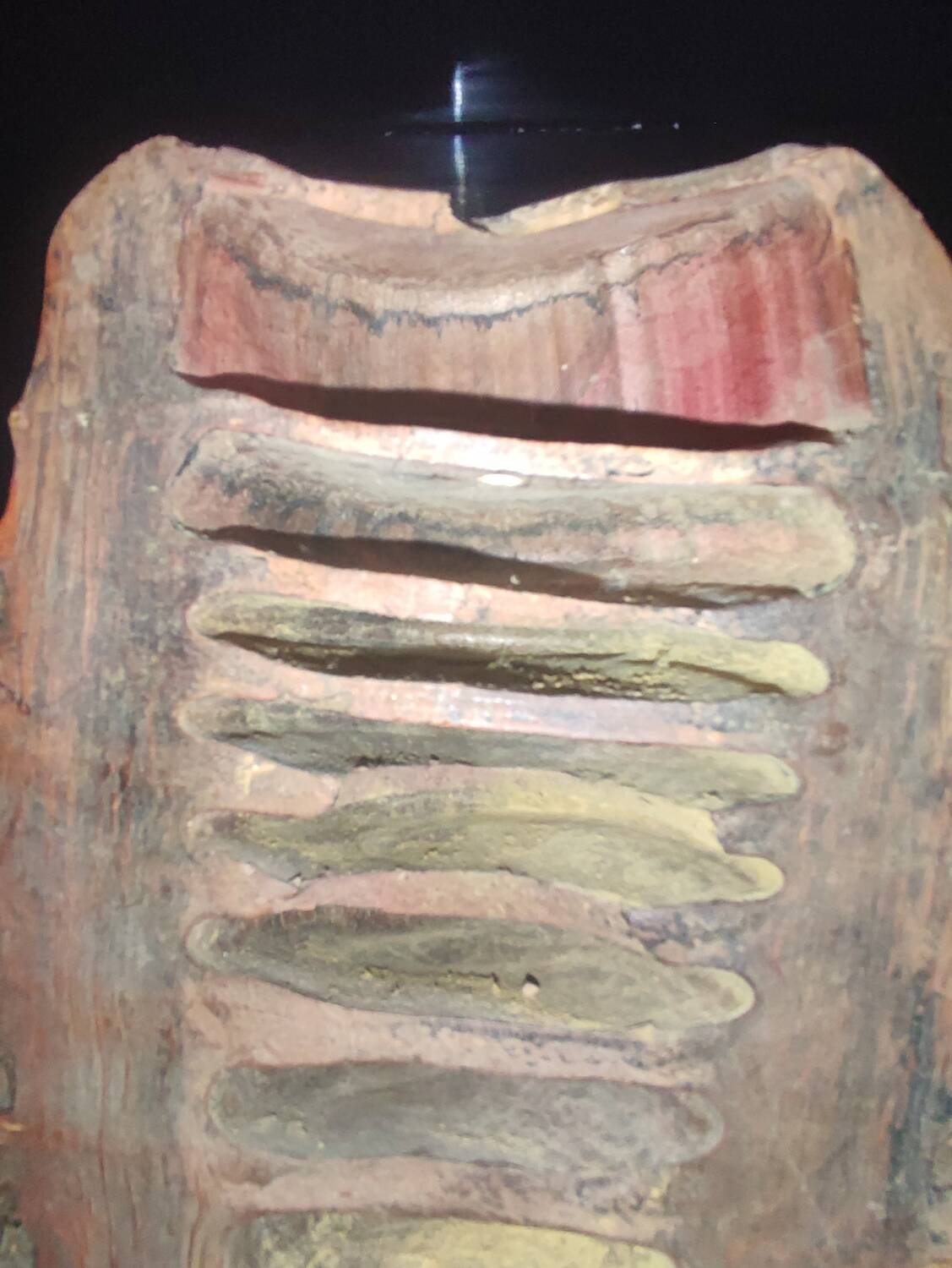 Bamboo mask