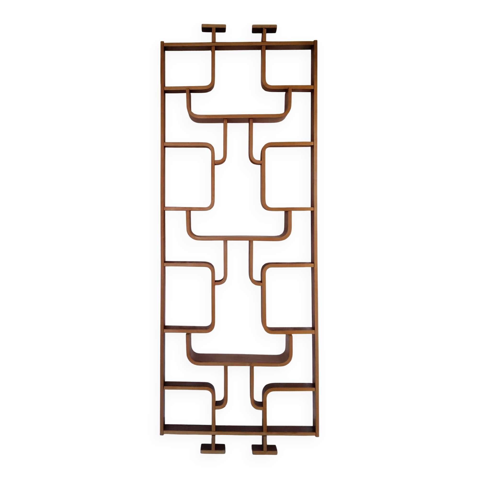 Vintage Czech screen by Ludvik Volak, 1960 for Drevopodnik Holesov