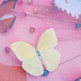 Round frame butterflies naturalized