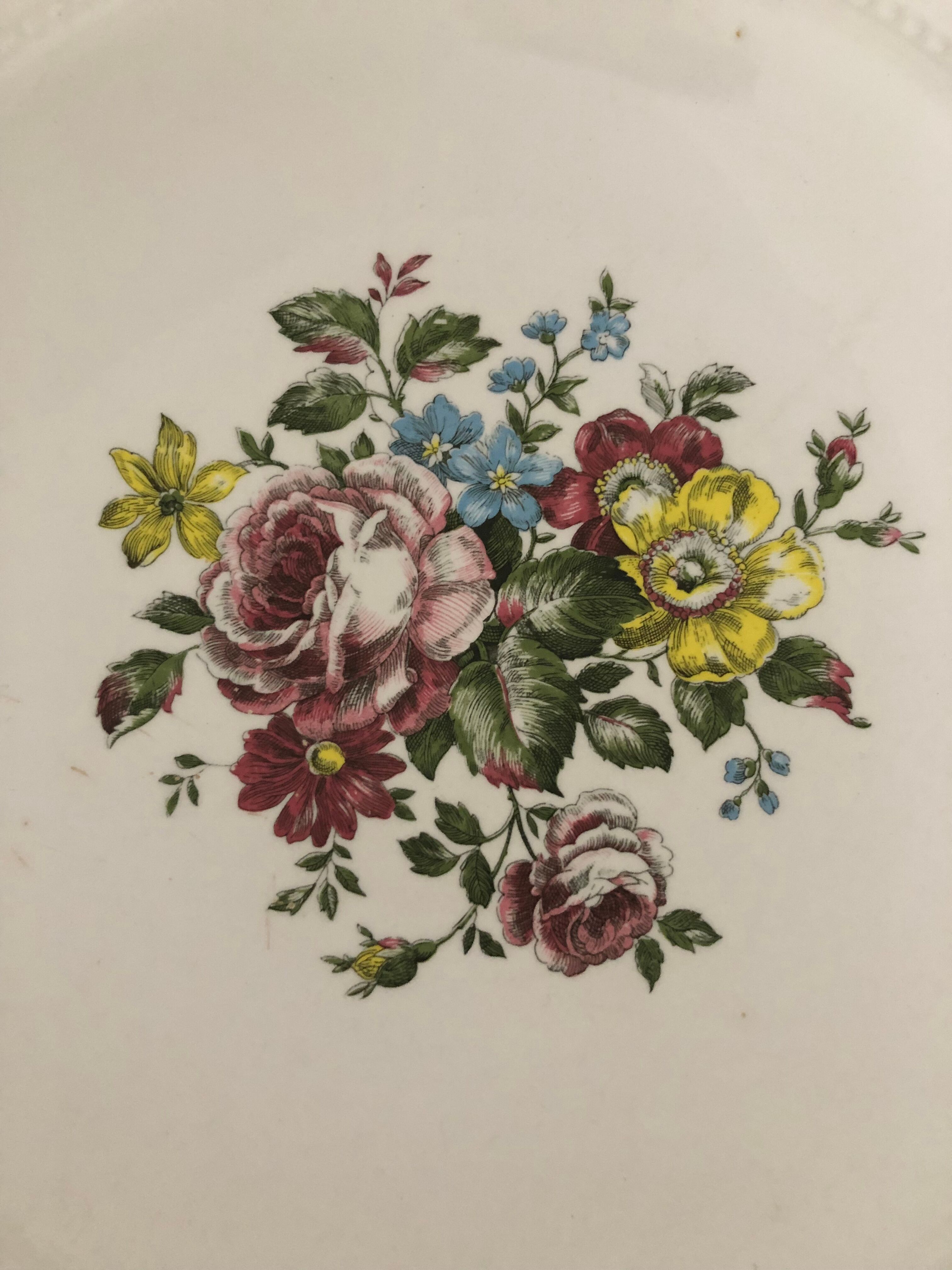 Antique earthenware dish from Luneville China Keller and Guerin 1889 "Chaillot de Vercor"