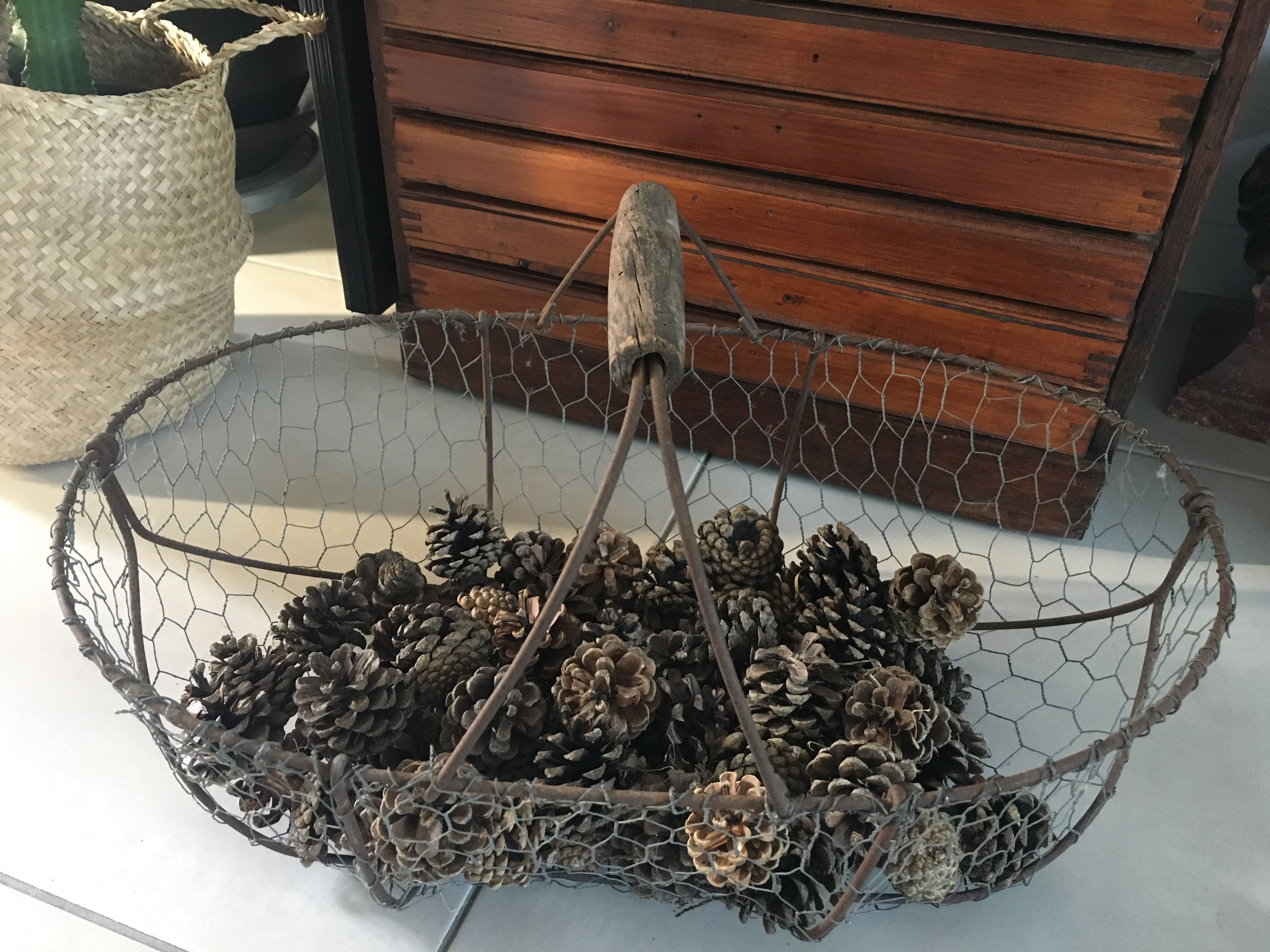 Old metal wire basket