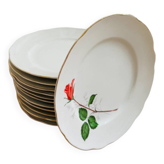 Lot de 12 assiettes plates • motif rose et liserés dorés • blanches • usine de porcelaine CISLAGO