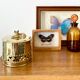 Cat brass box