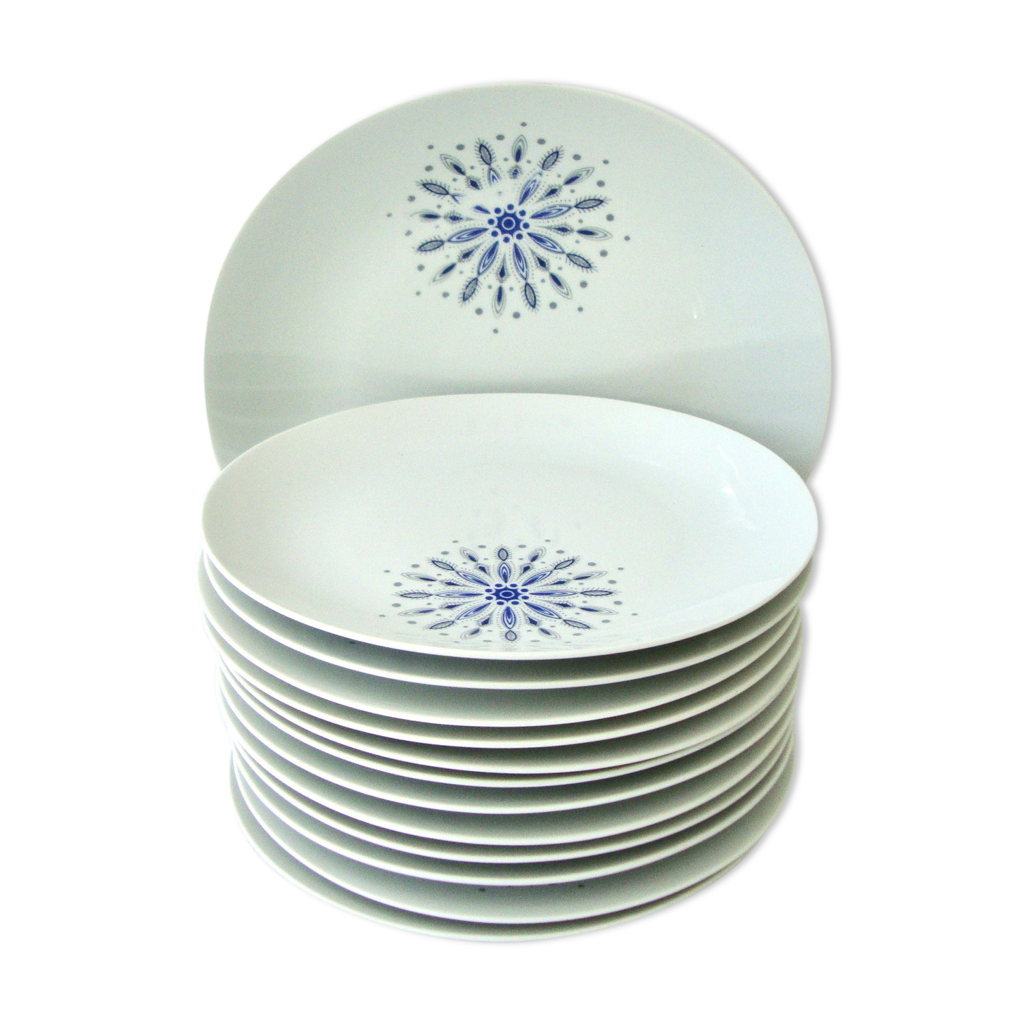 Set of 12 flat plates and 1 Bareuther dish