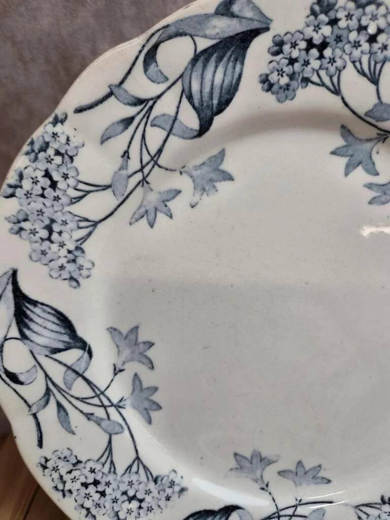 Set of 2 Longchamp ironstone plates model Lila Art Nouveau 22 cm