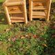 Vintage bamboo bedside tables