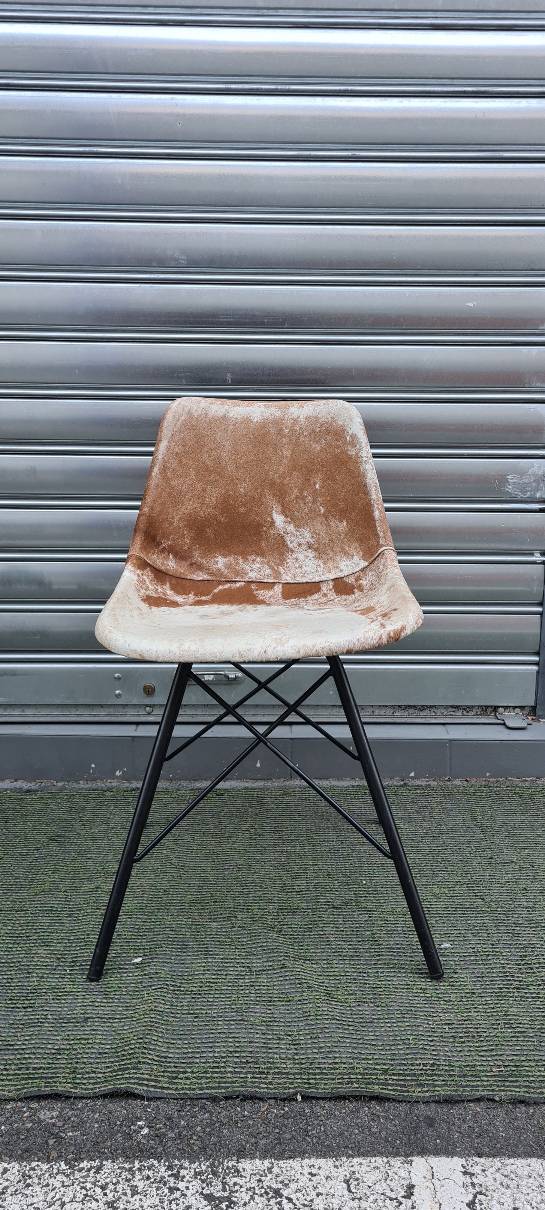 Sete of 6 cow haid chairs