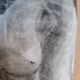 Drawing charcoal study nude femini statue 64x48cm
