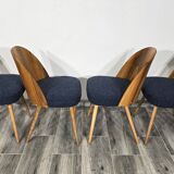 Dining Chairs by Antonin Suman, 1960s, Set of 4