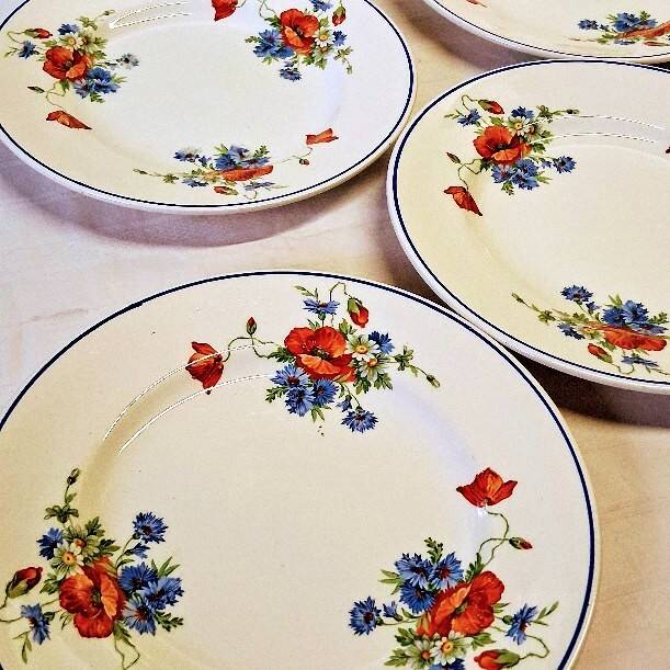 6 flat plates from Salins les Bains, "Poppies" pattern, in very good condition