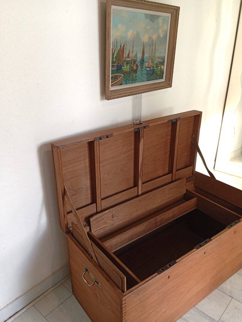 Malle marine en camphrier, XIXème