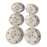 6 assiettes plates modele Senlis, KG luneville, france, motifs de roses